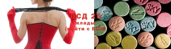 ПСИЛОЦИБИНОВЫЕ ГРИБЫ Балахна