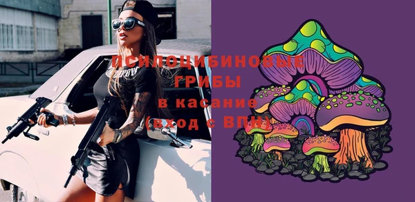 бошки Баксан